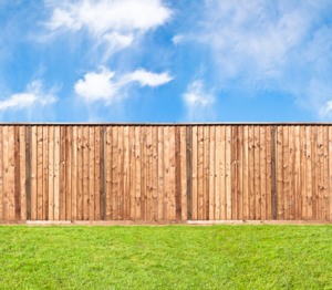 Increase Your Yard's Privacy